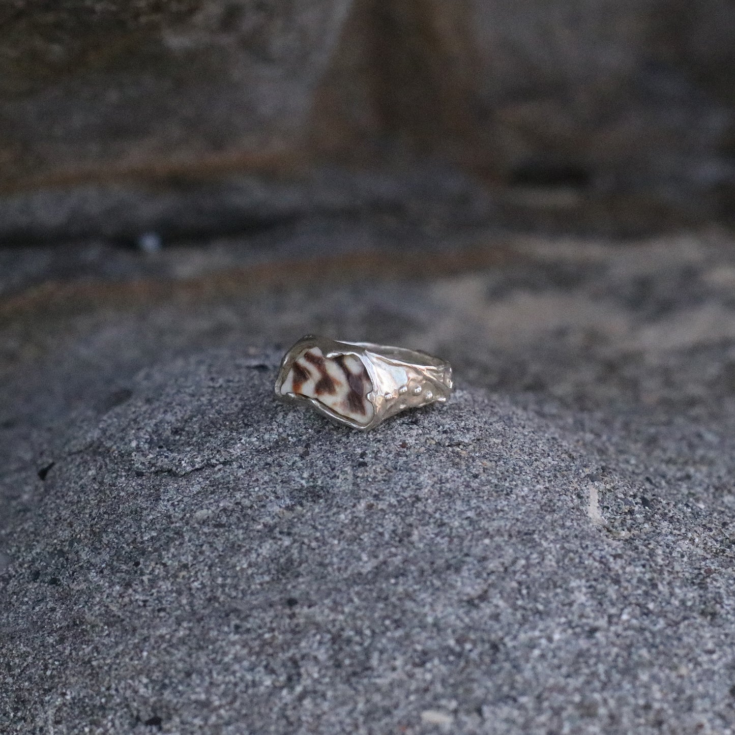 Zebra Ring