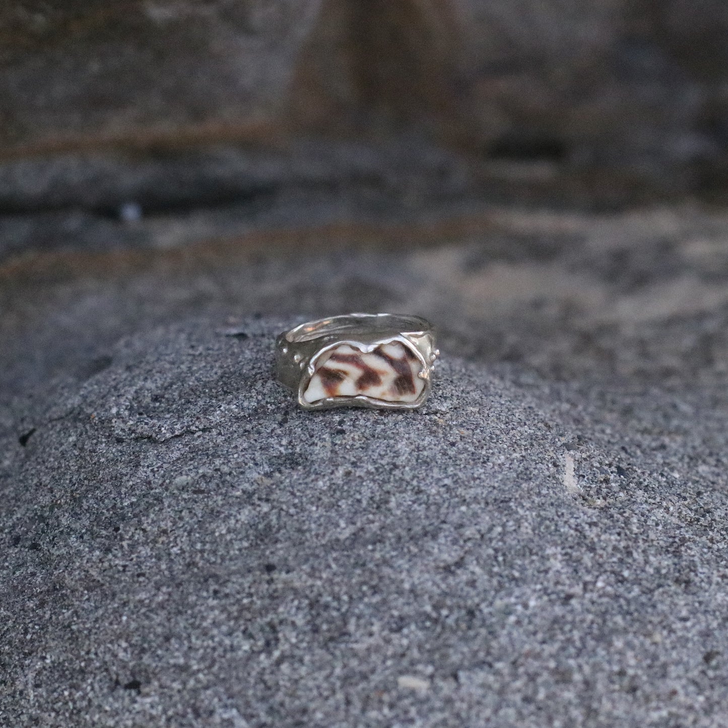 Zebra Ring