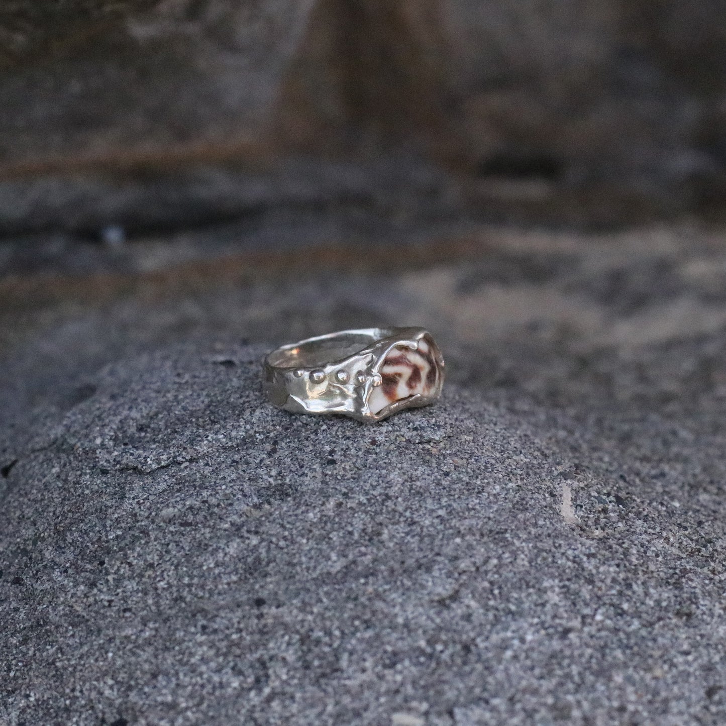 Zebra Ring