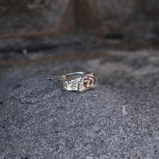 Zebra Ring